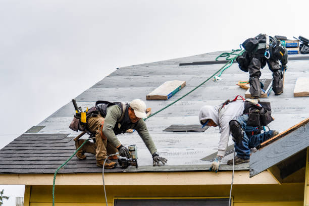 Professional Gutter Installation technician working in Leland, MS